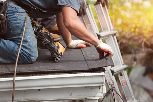 Gutter Installation and Roofing in Royal Palm Beach, FL
